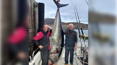 Fisherman nets massive 800lb tuna off coast of Harris in Western Isles