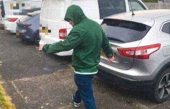 Teen sexually assaulted young girls after dragging them off street in rape bid