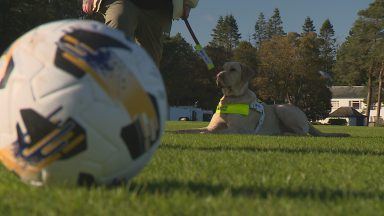 Guide Dogs Scotland teams up with Premiership side to raise awareness