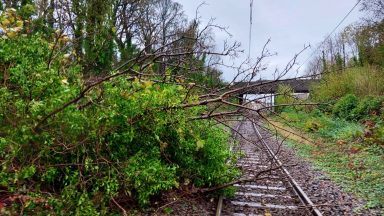 Trains cancelled after fallen tree blocks line at Largs