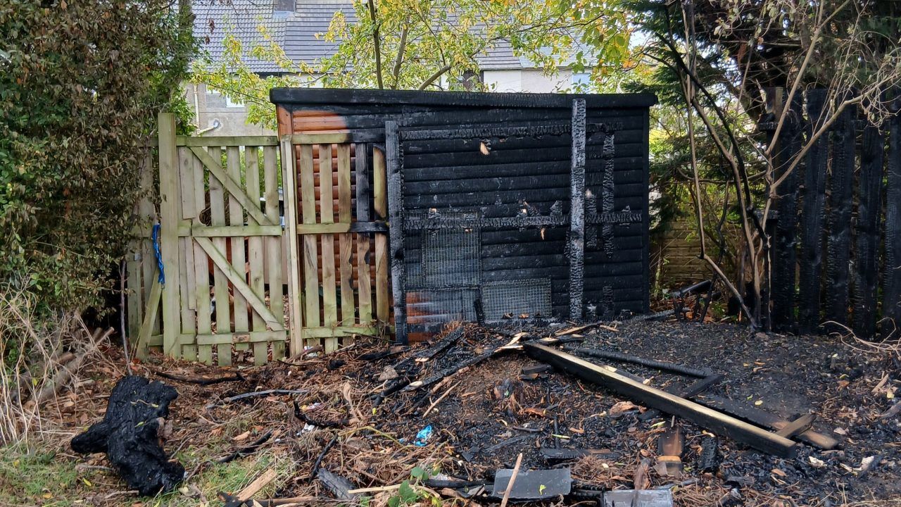 Forth Hedgehog Hospital catches fire as owner appeals for donations