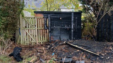 Forth Hedgehog Hospital catches fire as owner appeals for donations