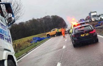 A9 closed after trailer carrying chickens crashes  near Dunblane