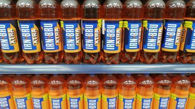 Irn-Bru owner appoints Max Verstappen coach as director