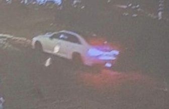 Pedestrian ‘critical’ after being hit by Ferrari in Edinburgh over a week ago as police search for driver