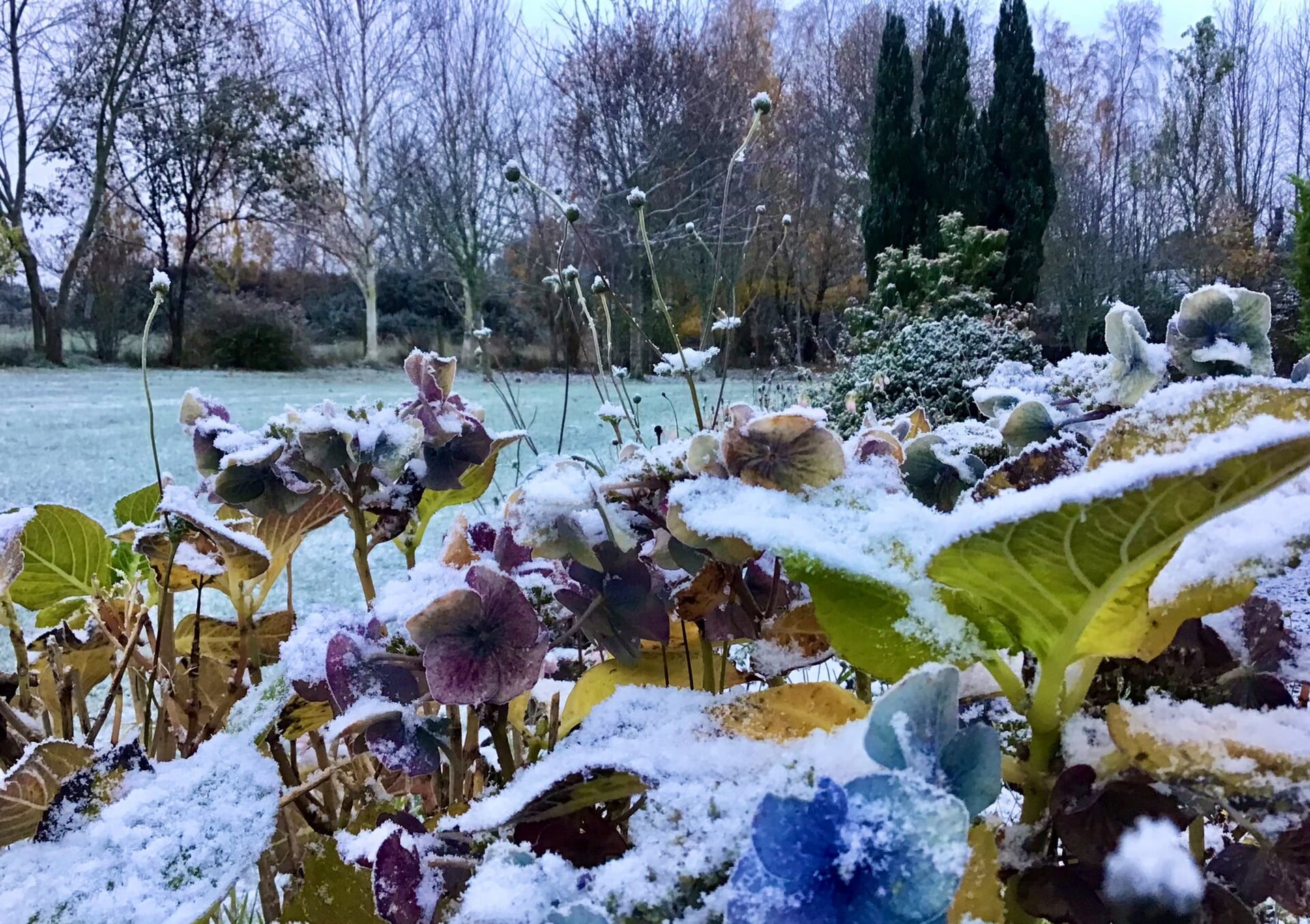 Snow in Inverness on Friday.