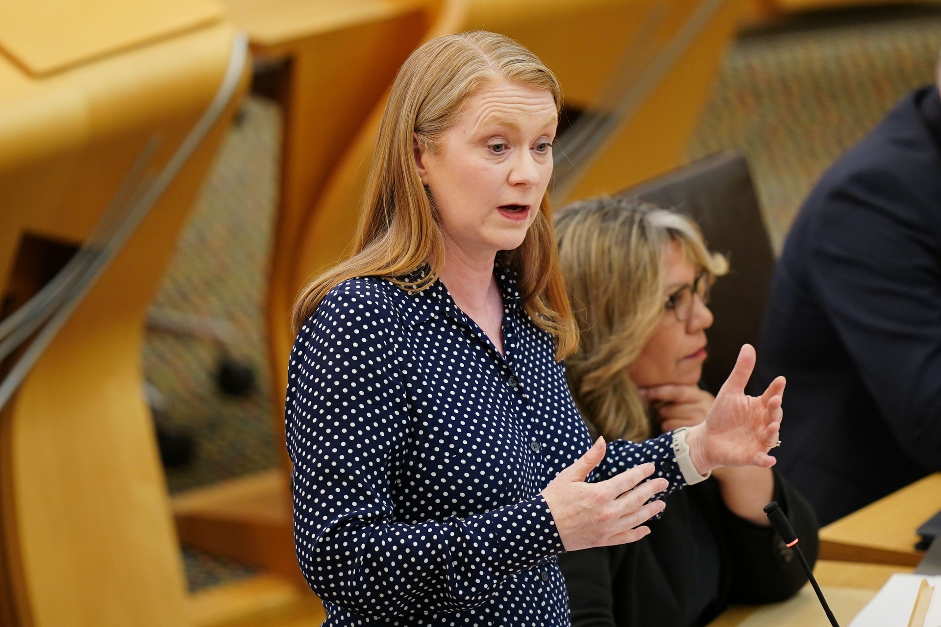 Douglas Alexander said Shirley-Anne Somerville wrote to the Home Office about the plans several weeks before they were announced