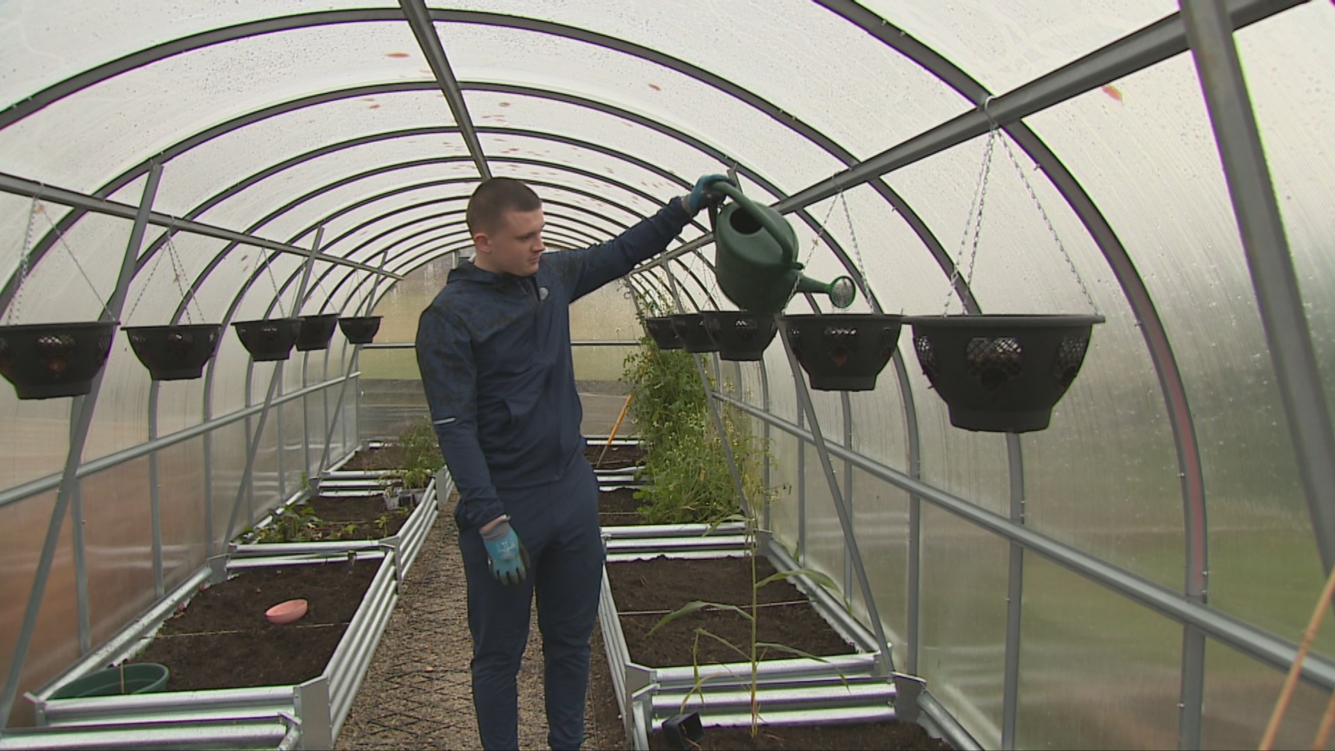 Graeme working inside a greenhouse