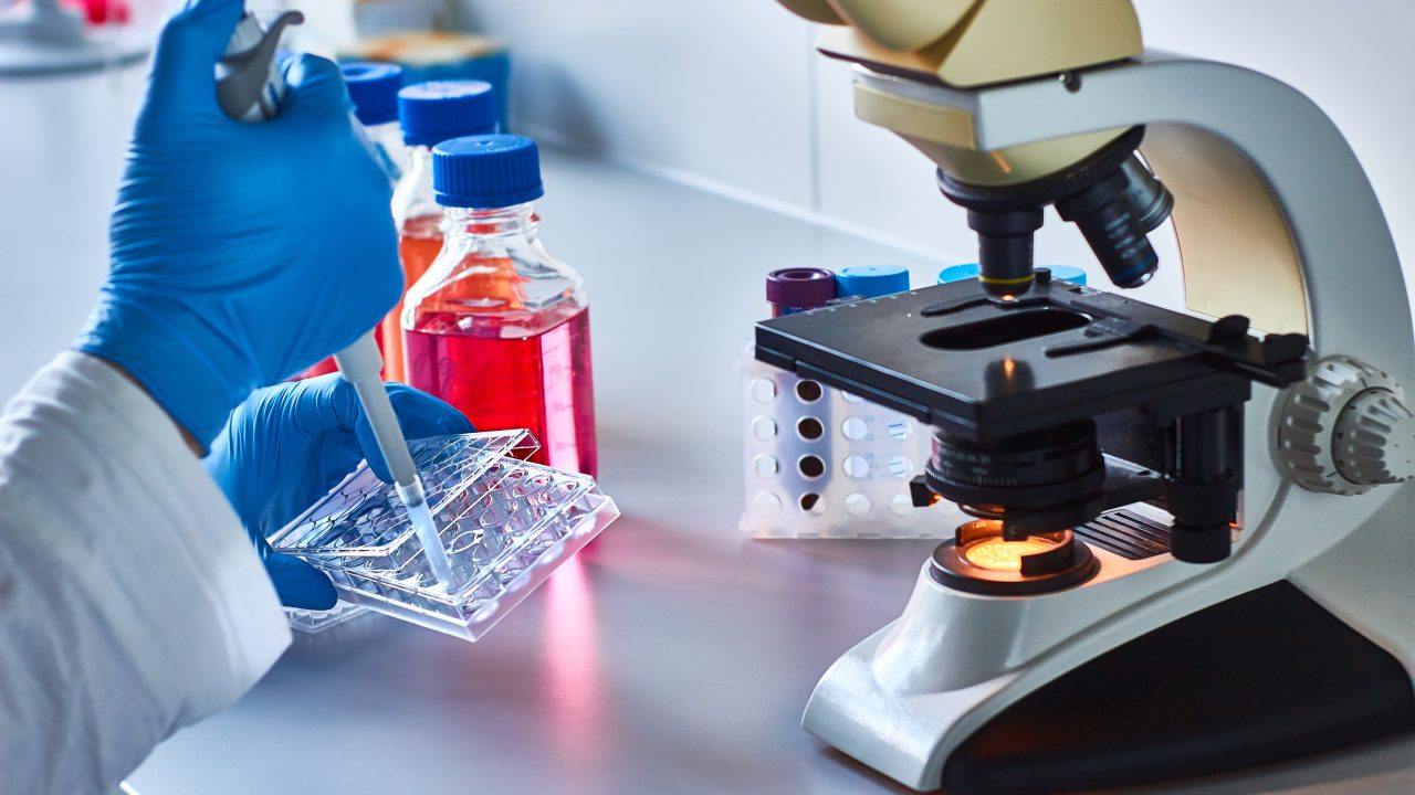 Glasgow scientists create first lab-grown bone marrow for cancer research