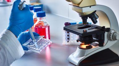 Glasgow scientists create first lab-grown bone marrow for cancer research