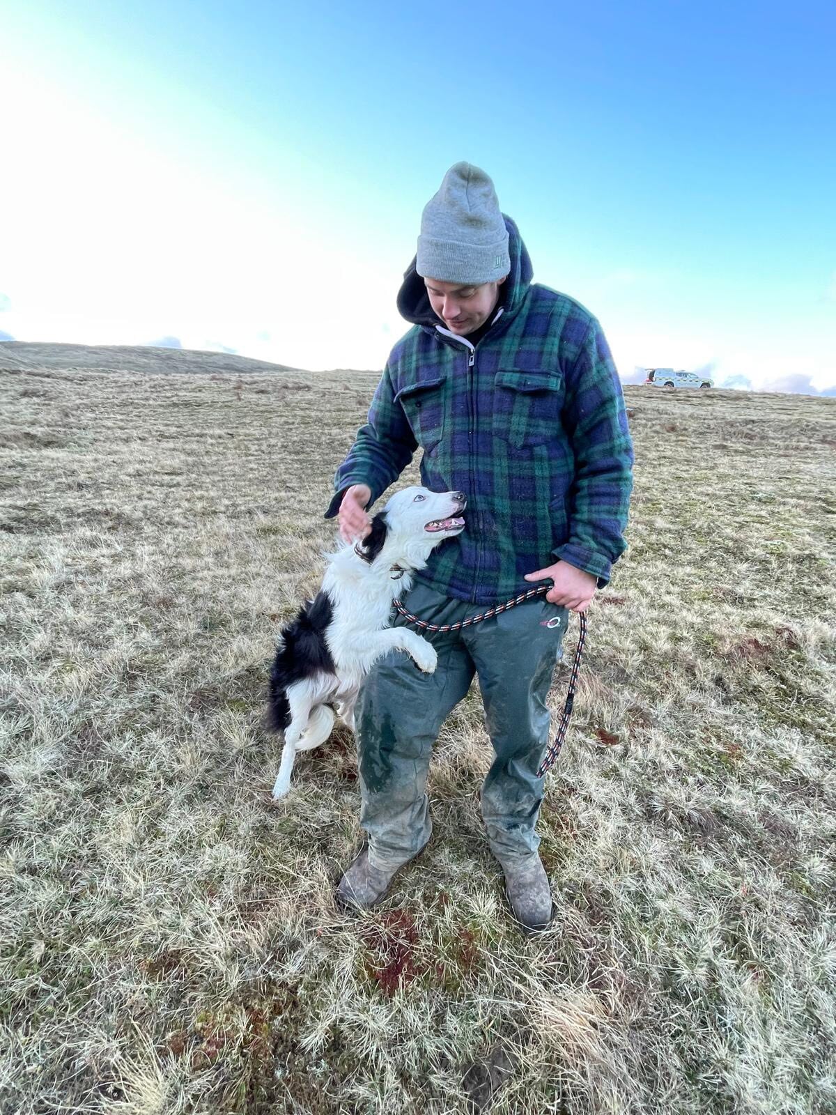 The two-year-old collie, named Whisp, was reunited with his owner.