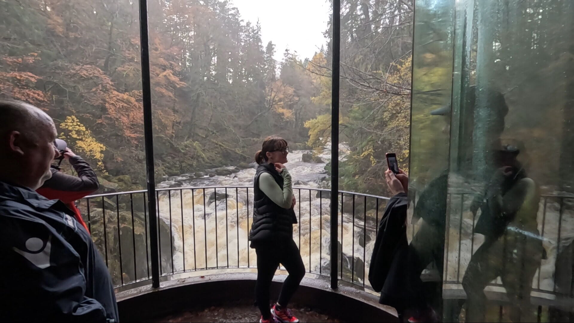 The Hermitage woodland walk had 40,000 visitors in October alone.