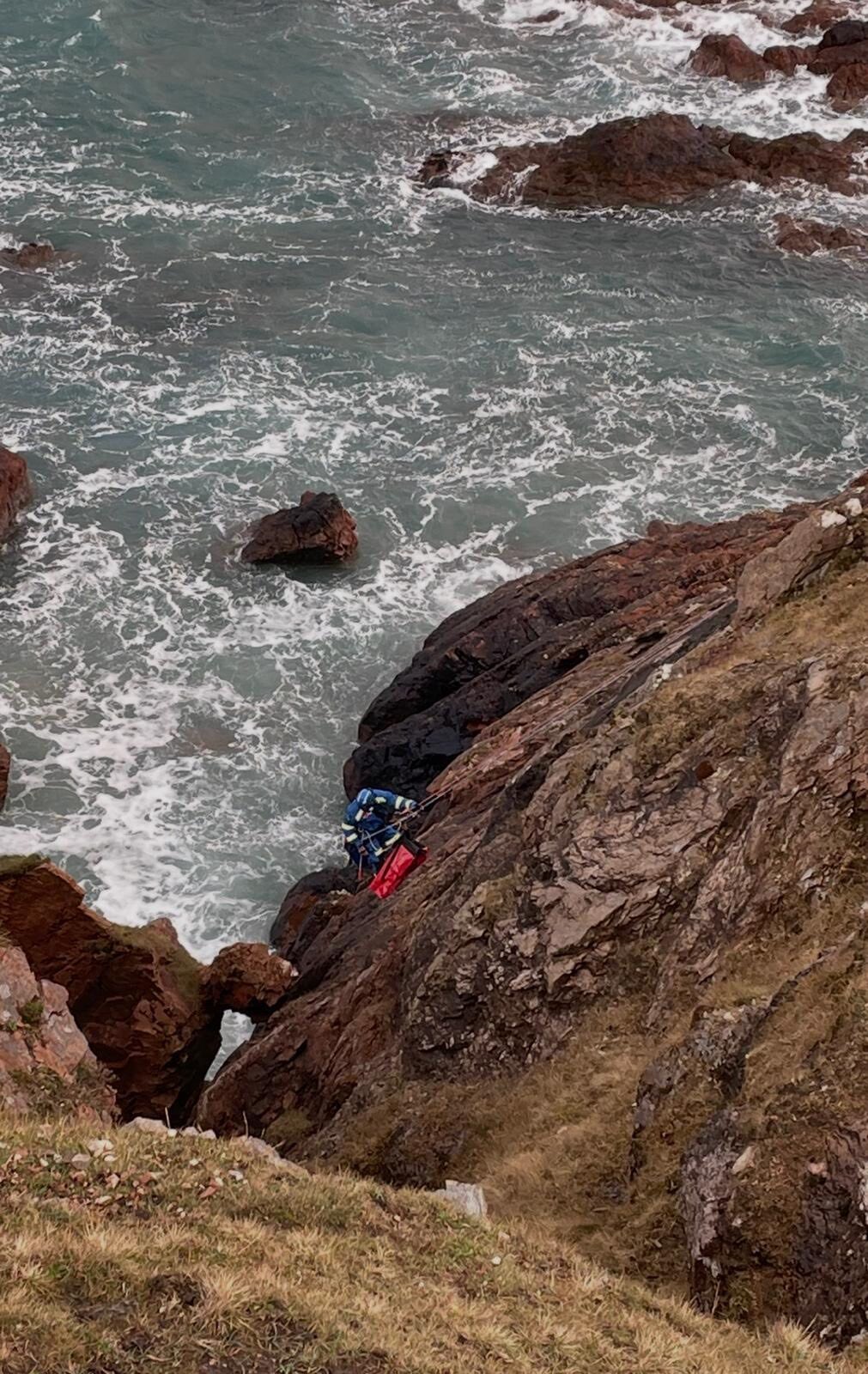 Teams found Whisp around 98ft down the cliff on a rocky ledge.