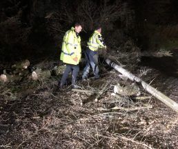 ‘Hi-viz knight in shining armour’ came to rescue after Storm Bram brought down lamppost