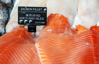 Shetland fishermen fear being pushed off key waters by wind farms