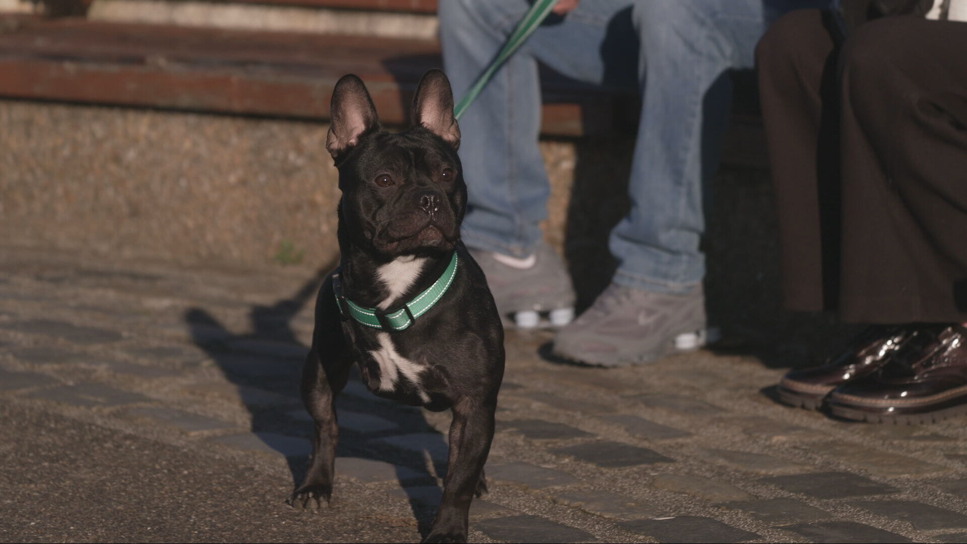 Star suffered a serious injury.