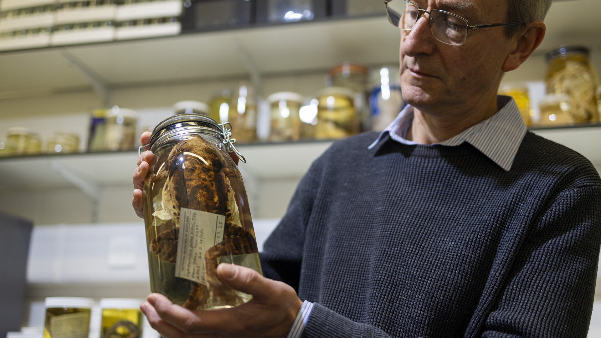 Curator Andrew Kitchener with specimens