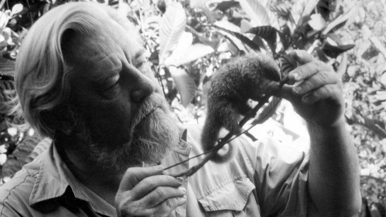 Rare specimens collected by naturalist Gerald Durrell donated to museum