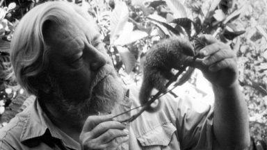 Rare specimens collected by naturalist Gerald Durrell donated to museum