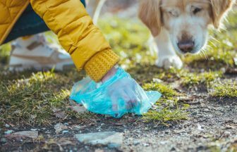 Councillor’s home pelted with dog poo after urging owners to dispose of mess in own bins