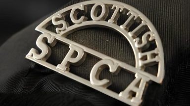 Kilmarnock man jailed and banned from owning animals after starving dog to death