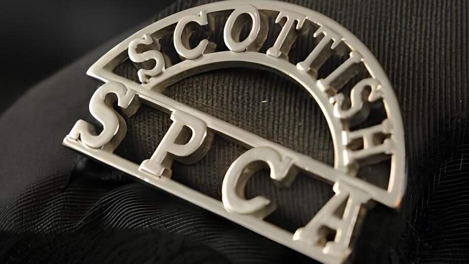 Kilmarnock man jailed and banned from owning animals after starving dog to death