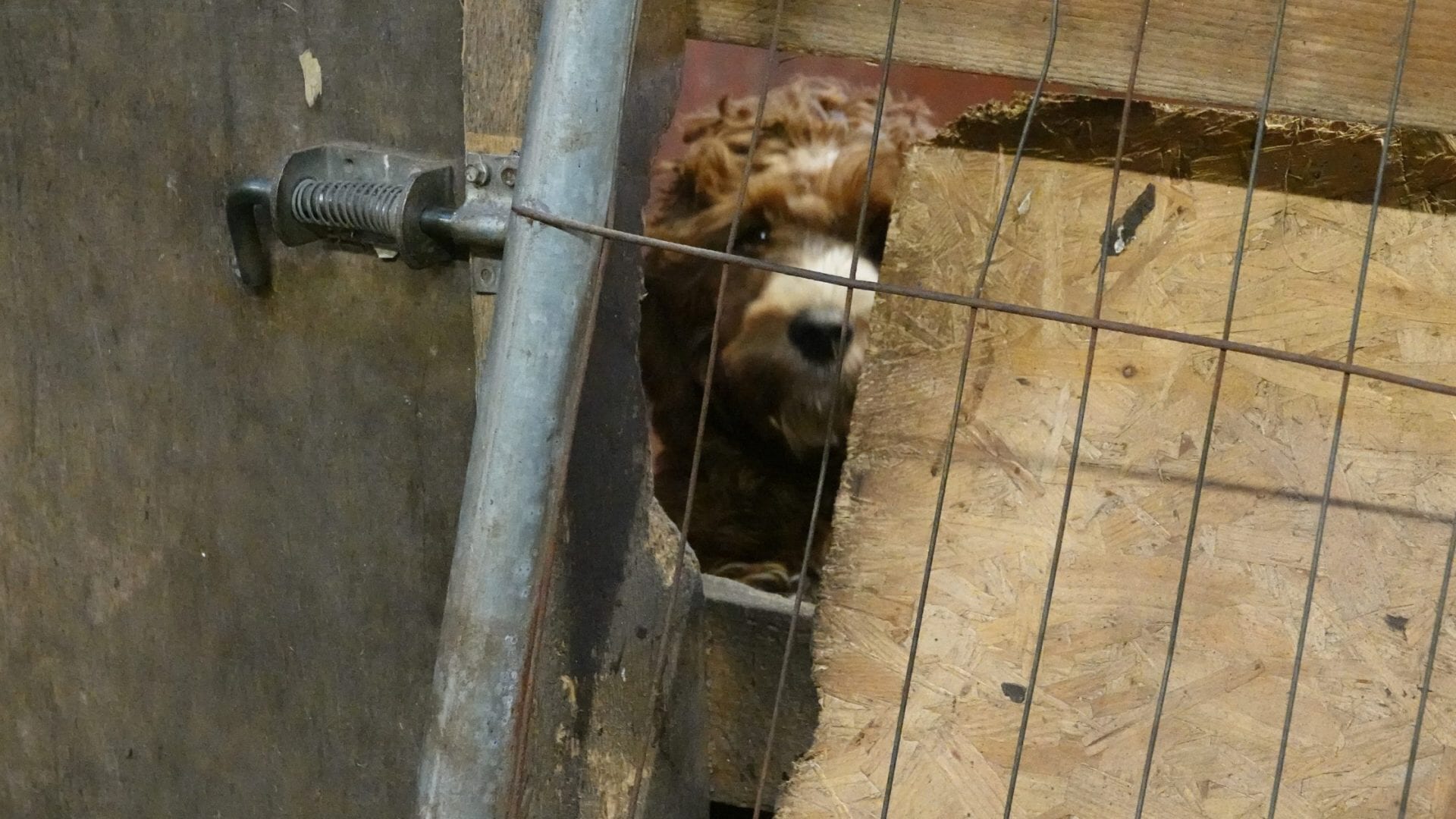 Jamie-Lee Harper appeared at Airdrie Sheriff Court