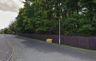 Police hunt sex attacker after woman raped in wooded area in Kirkcaldy