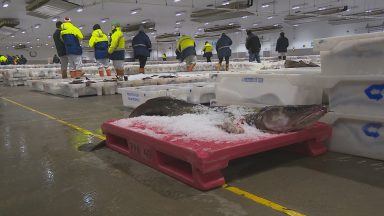 Fishermen predict challenging year with new catch limits