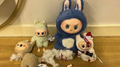 Hundreds of fake Labubu dolls and illicit tobacco seized in Moray raids