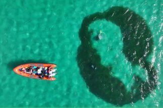 Rare footage of seagrass ‘fairy circles’ captured in Sound of Barra