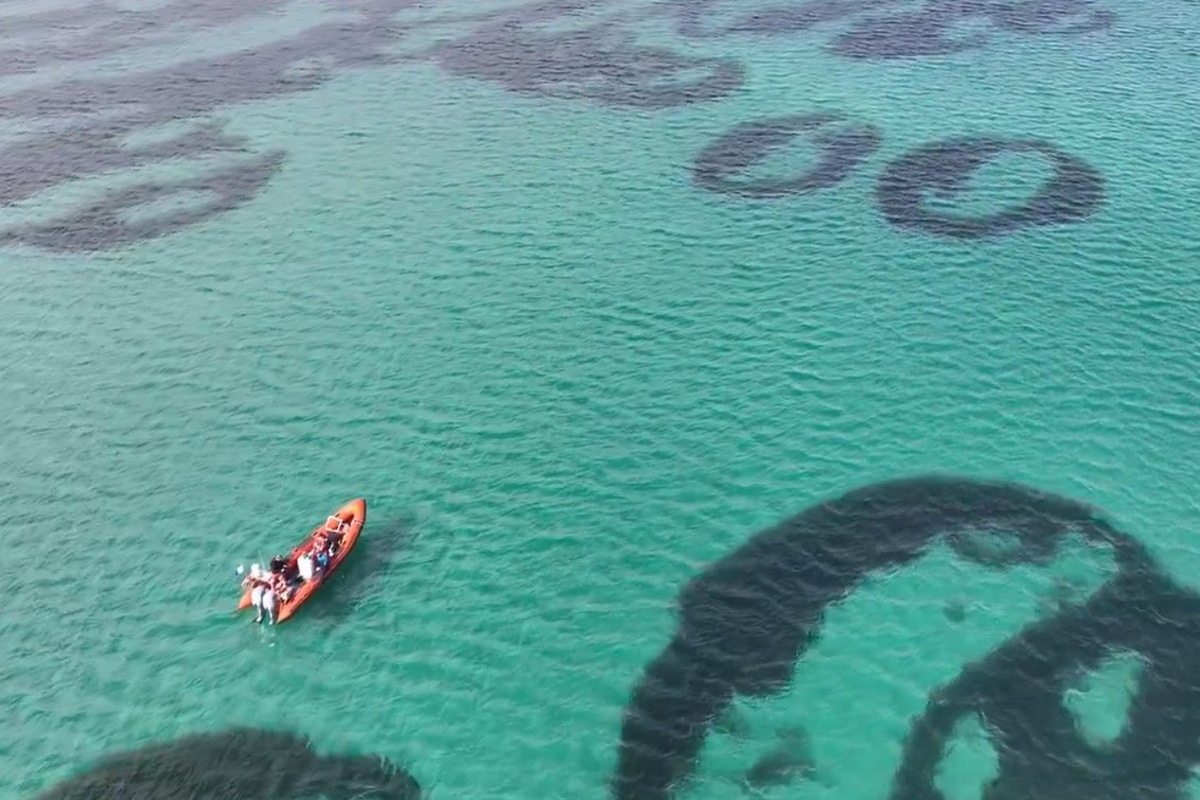 Seagrass beds in Barra