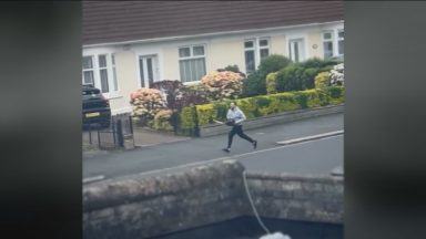 Man jailed after trying to kill police officer with chainsaw