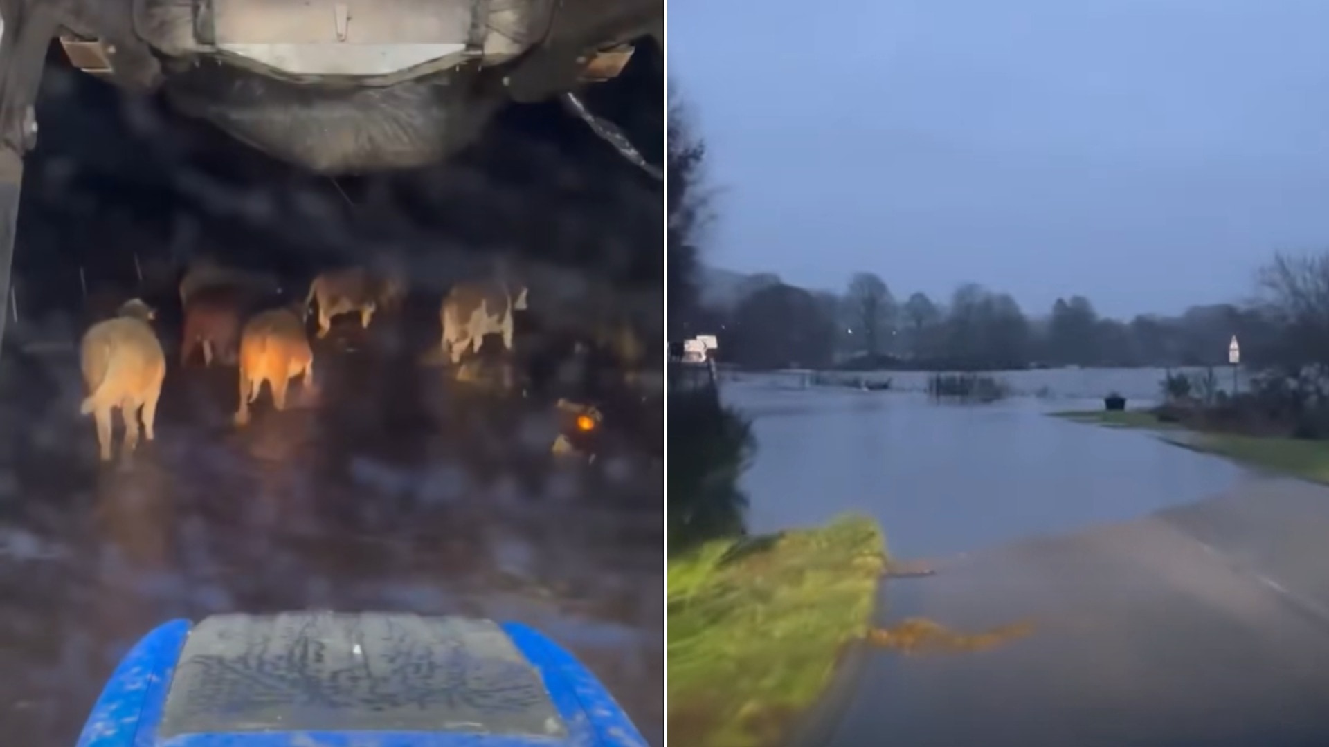 Cows flee flood water and roads impassable in the north