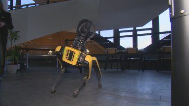 AI roadshow aiming to help rural businesses make most of the tech