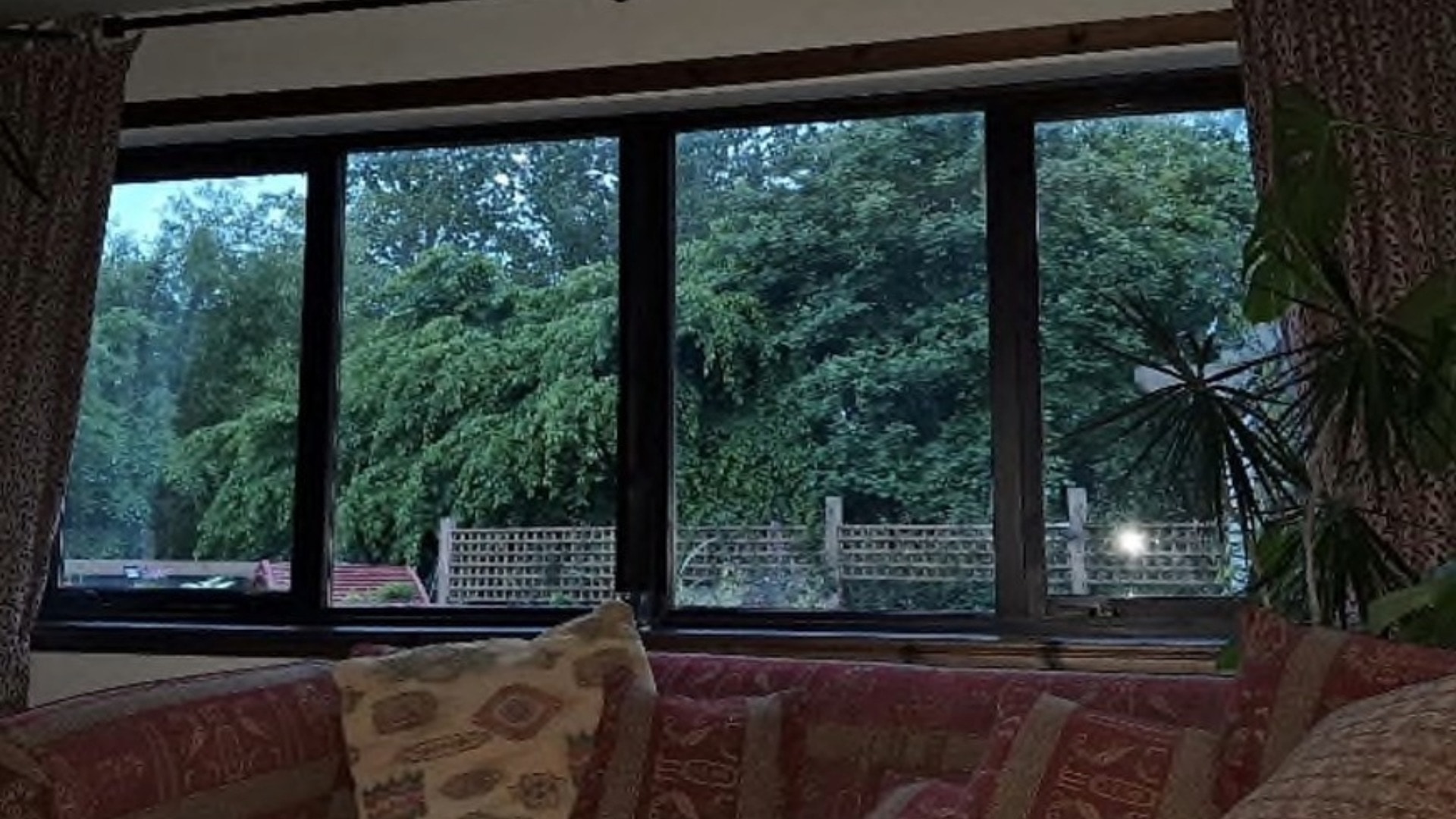 The view of the trees from inside Mr and Mrs Campbell's home.