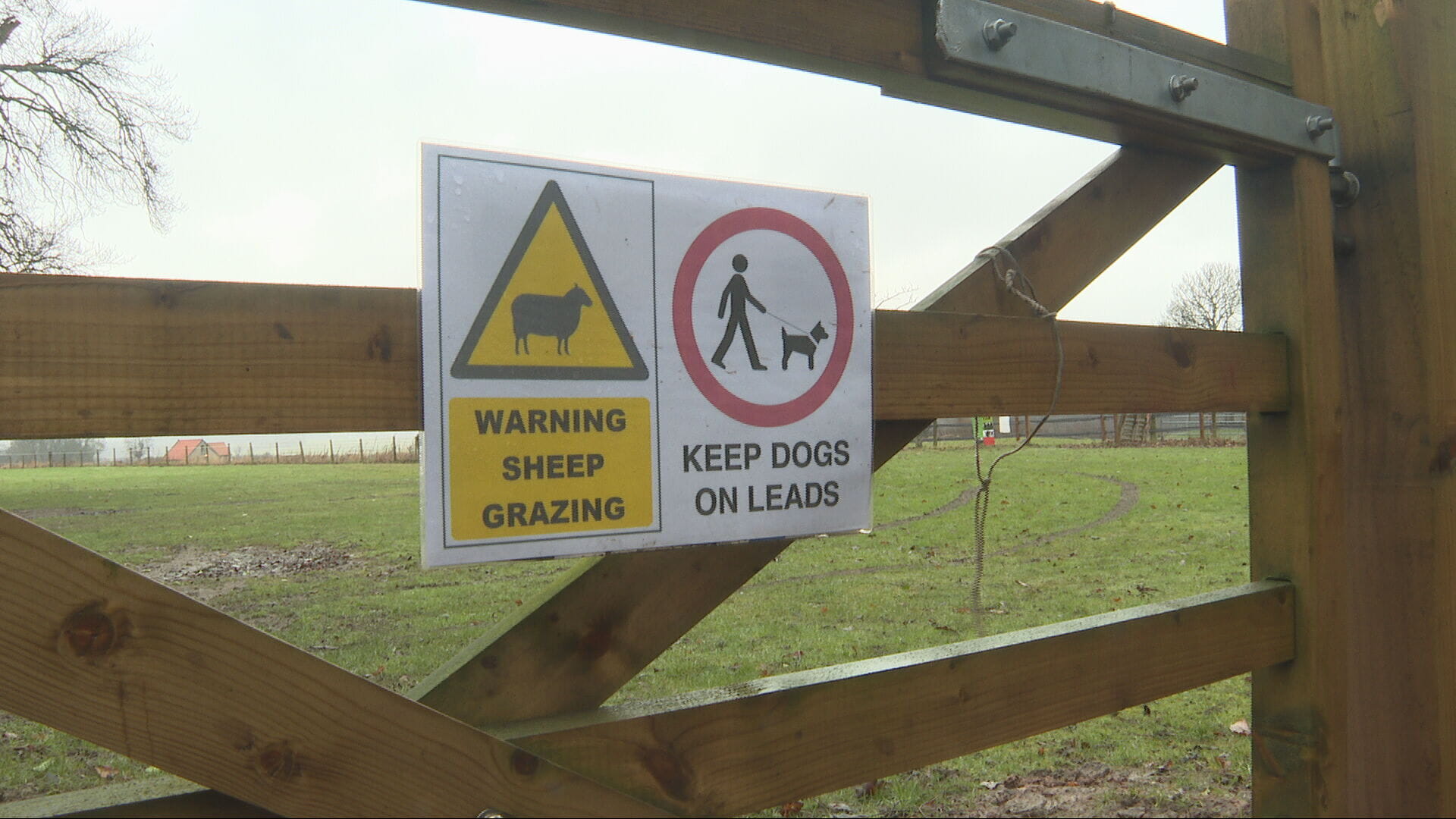 Sheep worrying is a concern for farmers at this time of year