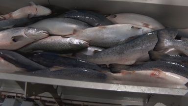 Shetland fishermen call for salmon farm moratorium