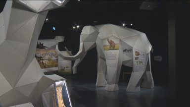 National Museum of Scotland unveils exhibition on post-dinosaur giants