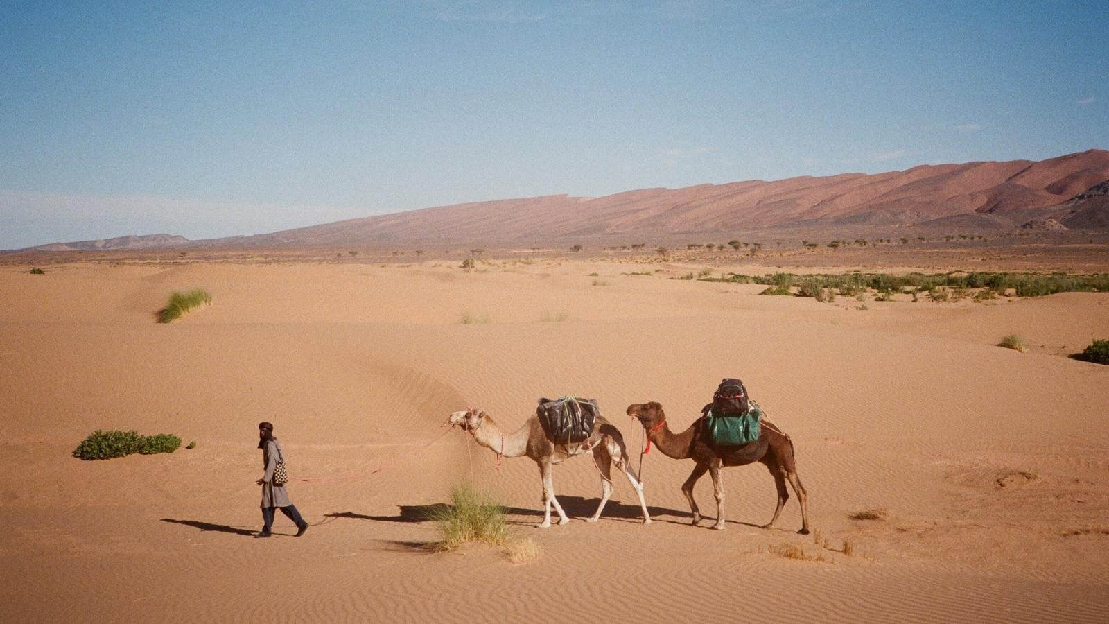 Mr Wilson has so far raised almost £11,500 for Crisis.