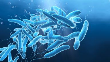 Two Edinburgh GP practices issued with notices over ‘risk of exposure to Legionella bacteria’
