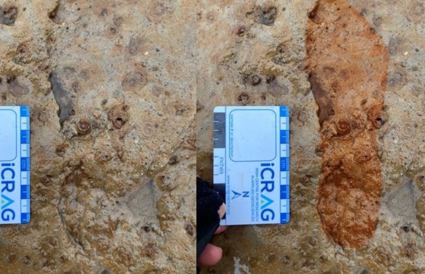 Footprints were spotted in the sand.