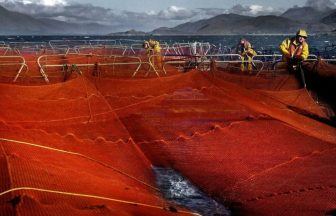 Scotland to send fishing net to Ukraine to defend against Russian drone attacks