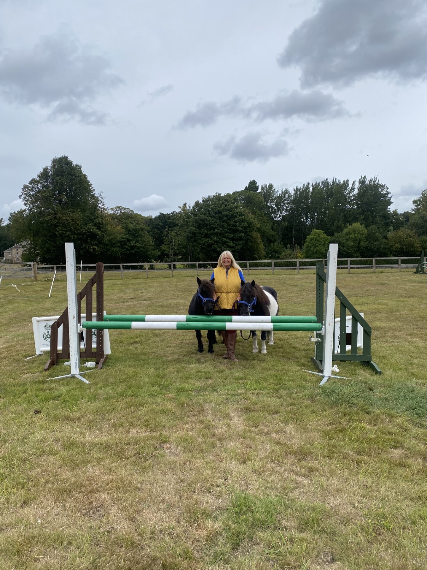 Susan said the land was to be used as a memorial for her ponies.