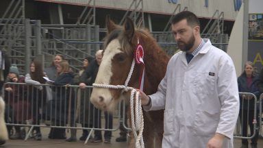 Over 3,000 farmers attend North East’s first agricultural show