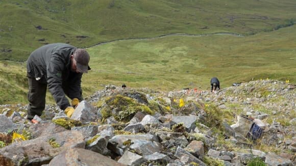 Britain’s ‘rarest fern’ replanted in Glen Affric in bid to restore species