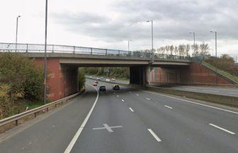 Man in serious condition in hospital after being struck by car on motorway