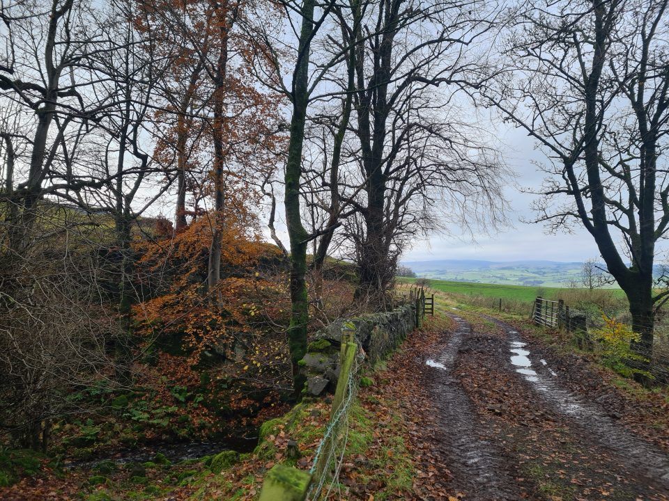 Polling finds ‘near universal support’ for protecting green belt land