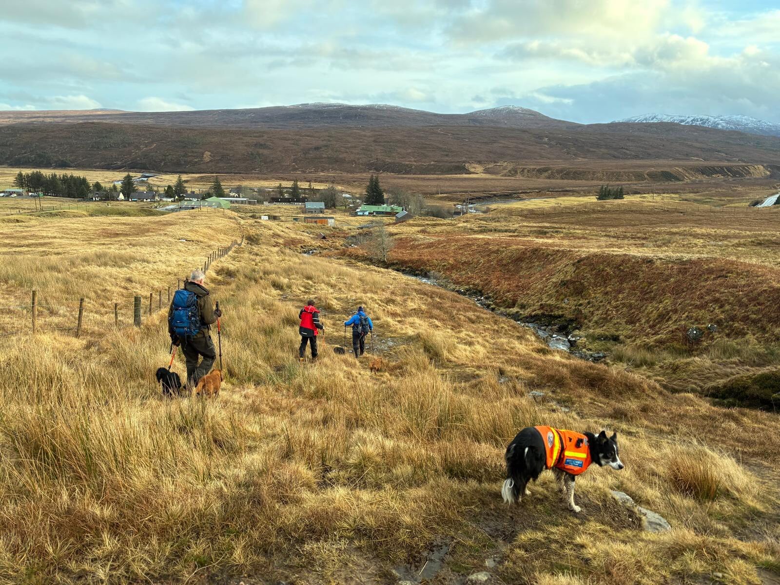 The group returned to search on Monday morning