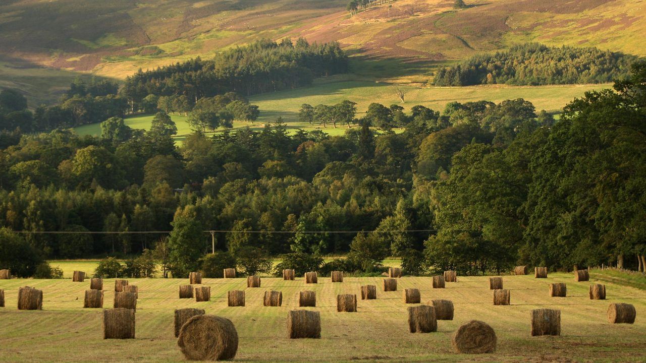 First Minister pledges to ‘secure bright future’ for Scotland’s farmers
